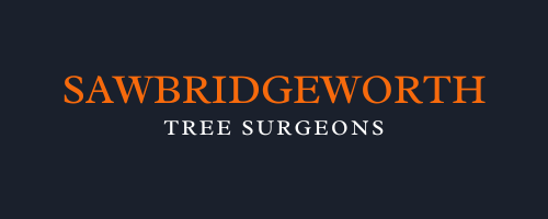 Sawbridgeworth Tree Surgeons